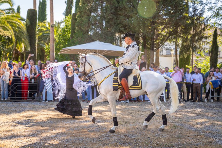espectaculo-ecuestre-granada Espectáculo ecuestre y flamenco. vista del caballo y la bailarina en el exterior de Huerta del Sello.