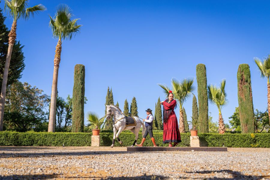 espectaculo-flamenco-granada Espectáculo ecuestre y flamenco. vista del caballo y la bailarina en el exterior de Huerta del Sello.